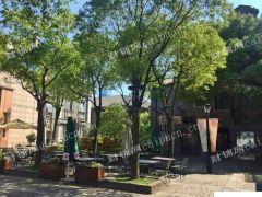 出租梁溪南禅寺商业街店铺位于阳春巷高档商圈230平豪华新装修