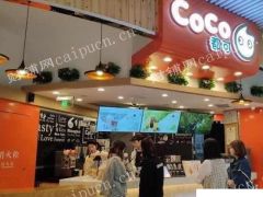  急转COCO都可奶茶项目