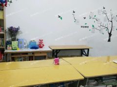 晚托班转让，有生源，装备齐全