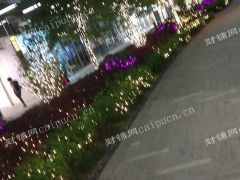  海岸城八方汇步行街商铺，附近有学校，写字楼，小区，