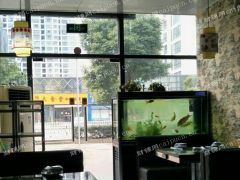 营业中饭店低价急转！！！